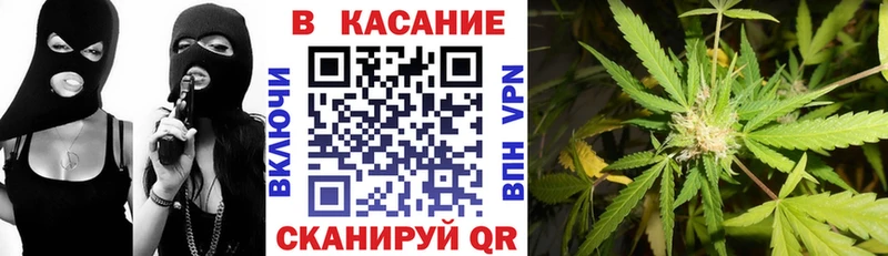 Наркошоп купить А ПВП Псилоцибиновые грибы Мефедрон Грайворон